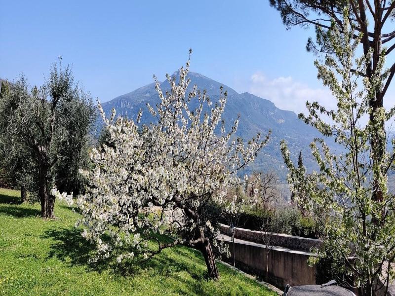 Loup Castel Boutique Hotel B&b image