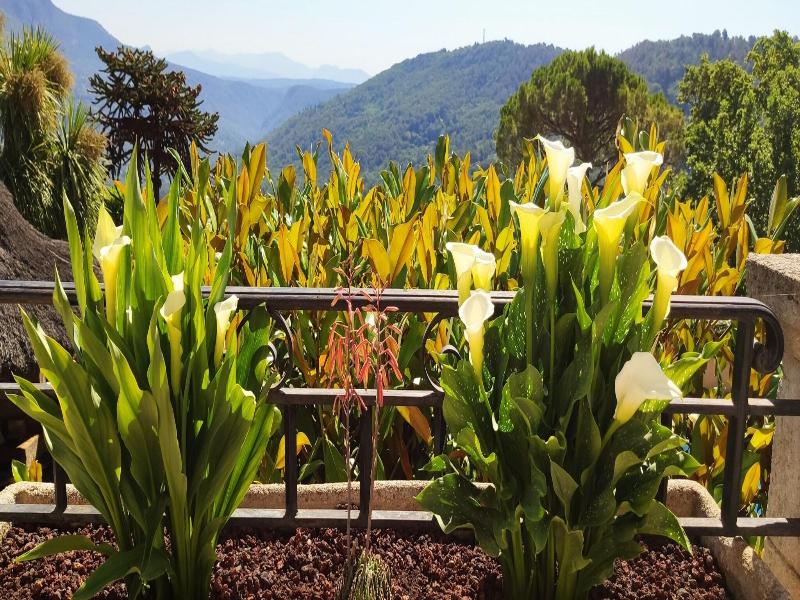 Loup Castel Boutique Hotel B&b image