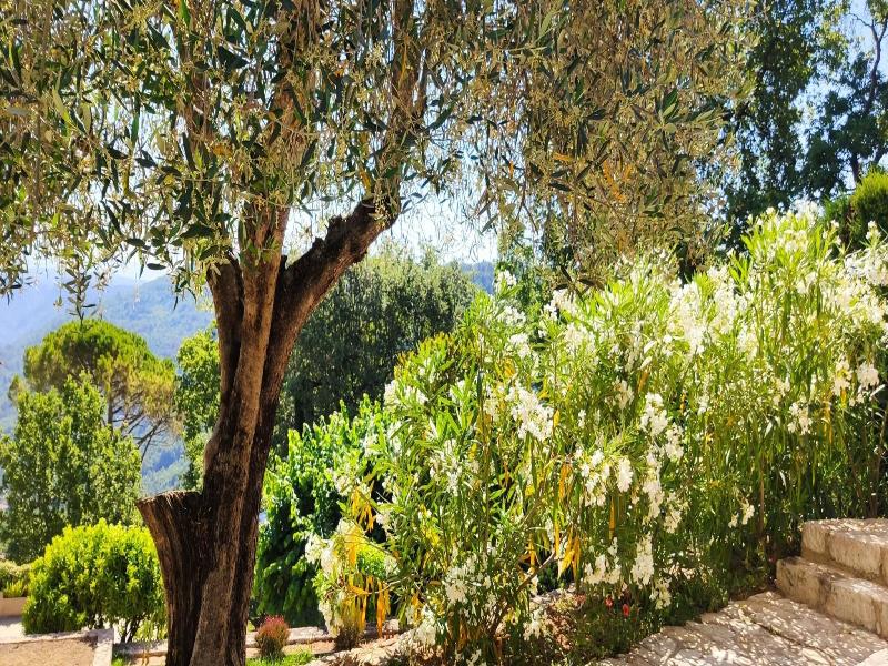 Loup Castel Boutique Hotel B&b image
