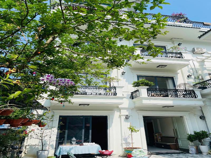 Lynh's Villa