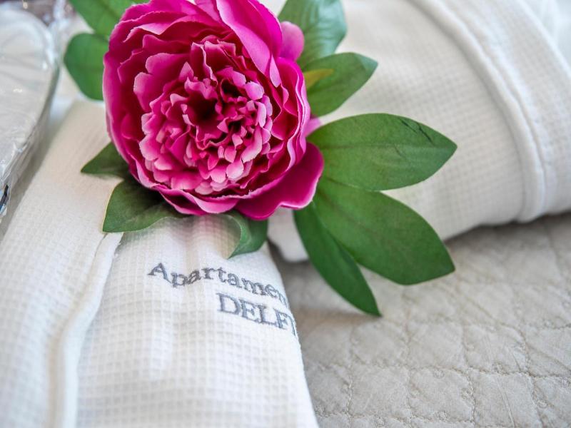 Apartaments Delfin image