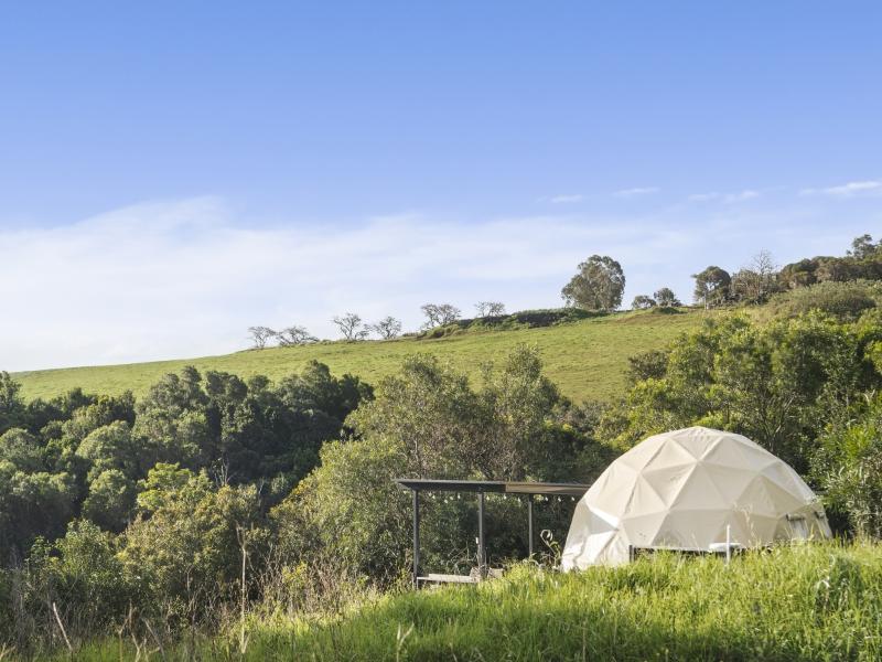 Cicada Luxury Camping image