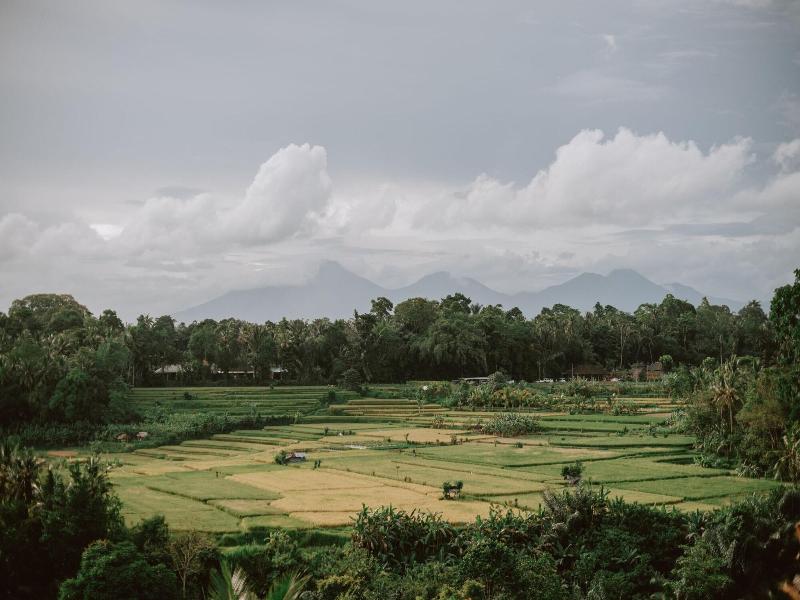 Uma Kalai image