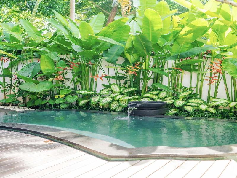 Uma Kalai image