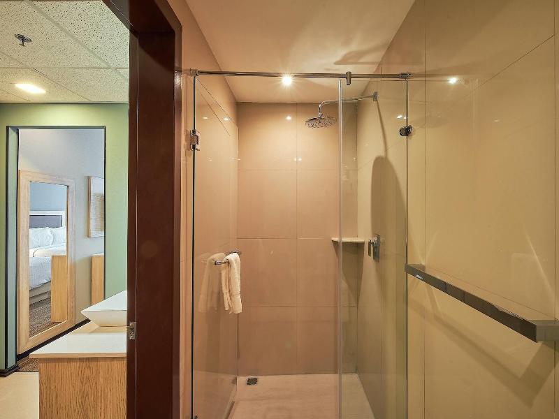 Wyndham Garden Saltillo image