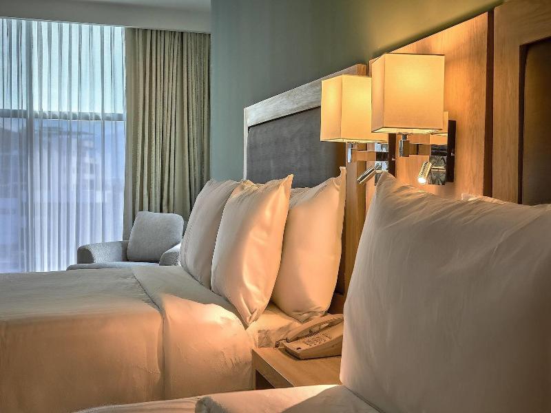 Wyndham Garden Saltillo image
