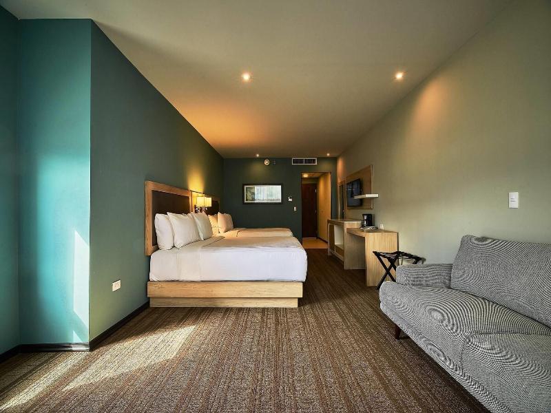 Wyndham Garden Saltillo image