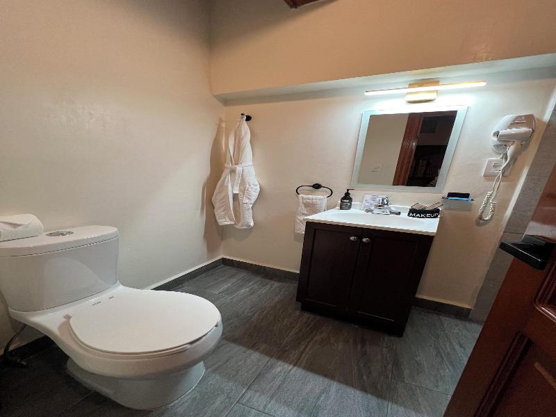 Suites Del Jardín Principal image