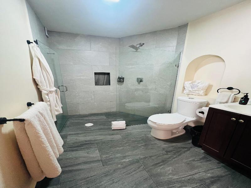 Suites Del Jardín Principal image