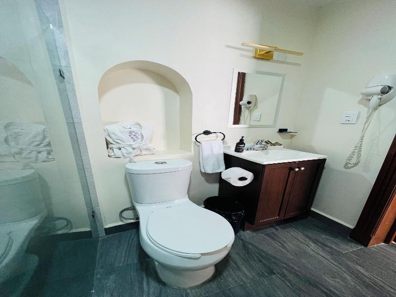 Suites Del Jardín Principal image