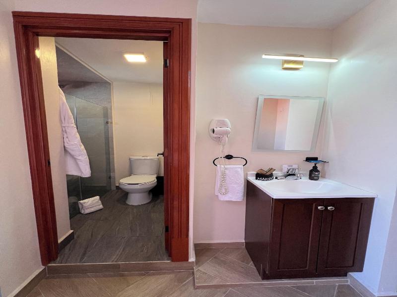 Suites Del Jardín Principal image