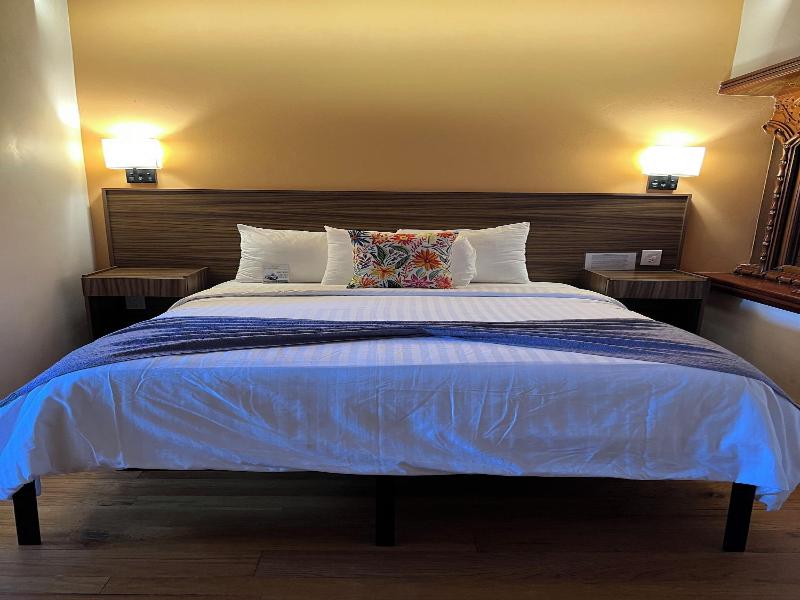 Suites Del Jardín Principal image