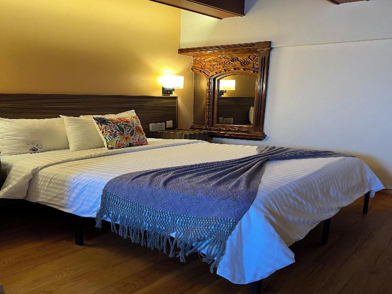 Suites Del Jardín Principal image