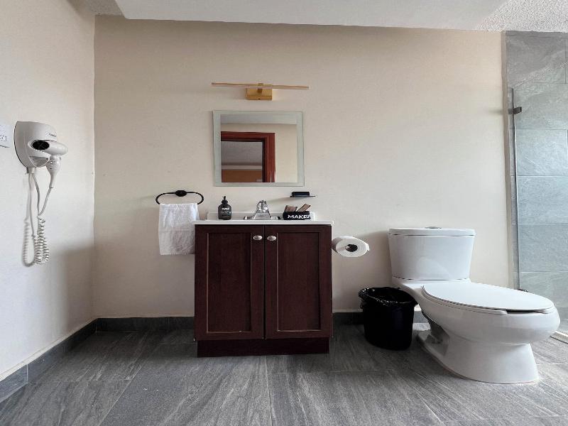 Suites Del Jardín Principal image