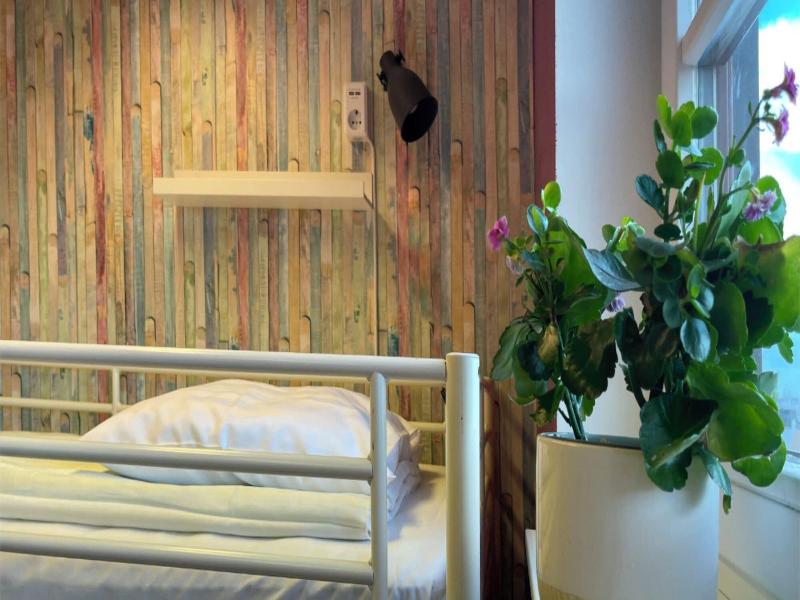 Crafoord Place Hostel image