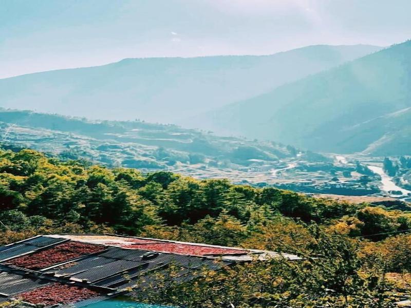 The Postcard Dewa Thimphu image
