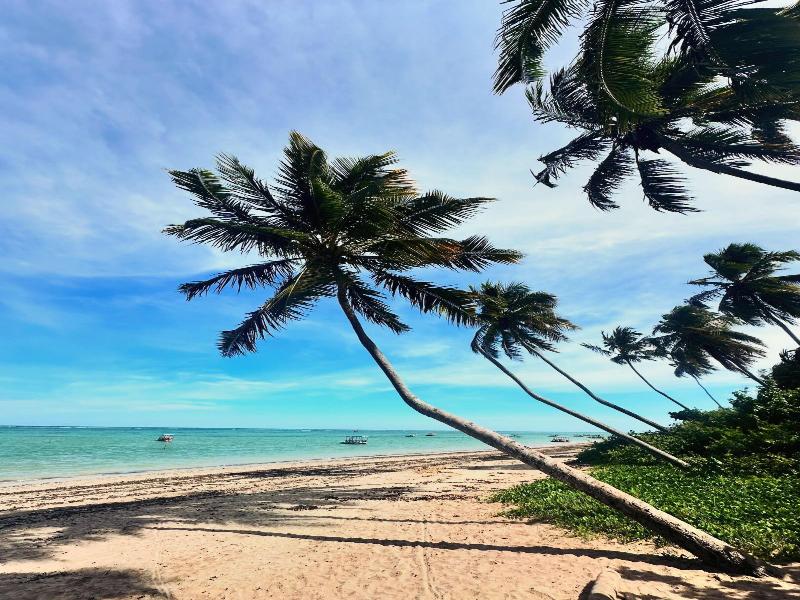 Le Petit Suites Praia De Lages image