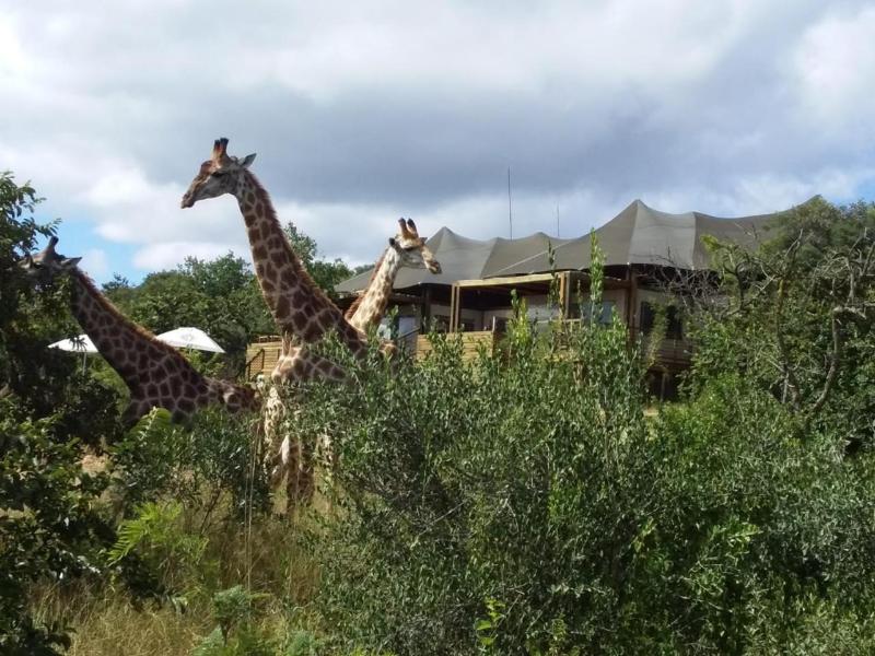 Ndhula Luxury Tented Lodge image