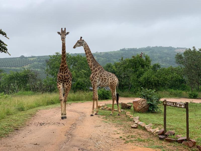 Ndhula Luxury Tented Lodge image