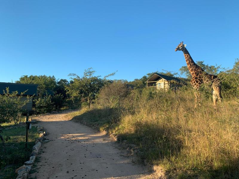 Ndhula Luxury Tented Lodge image