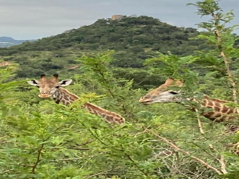 Ndhula Luxury Tented Lodge image