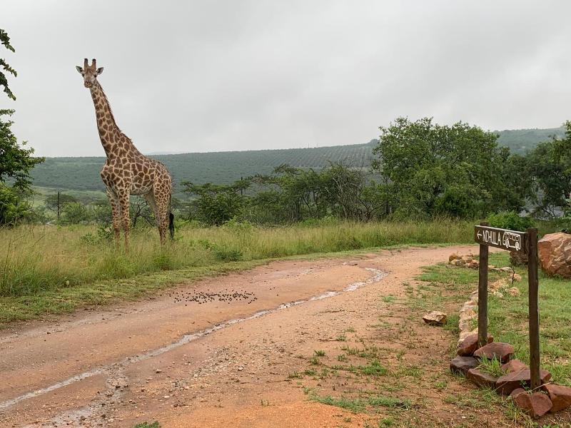 Ndhula Luxury Tented Lodge image