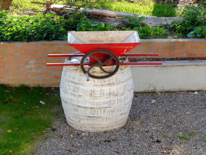 Il Leccio image