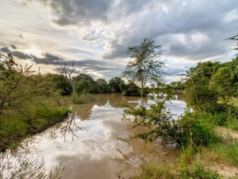 Phelwana Game Lodge image