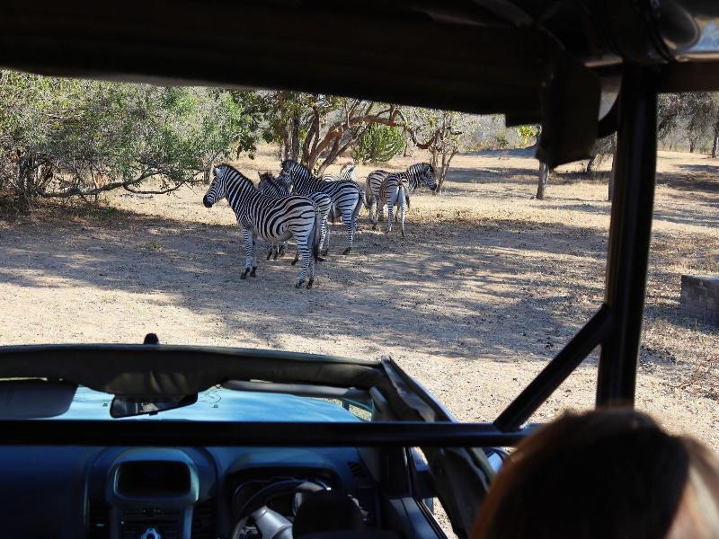 Phelwana Game Lodge image