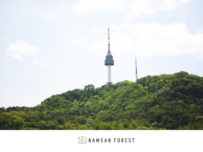 Namsan Forest Myeongdong Station image