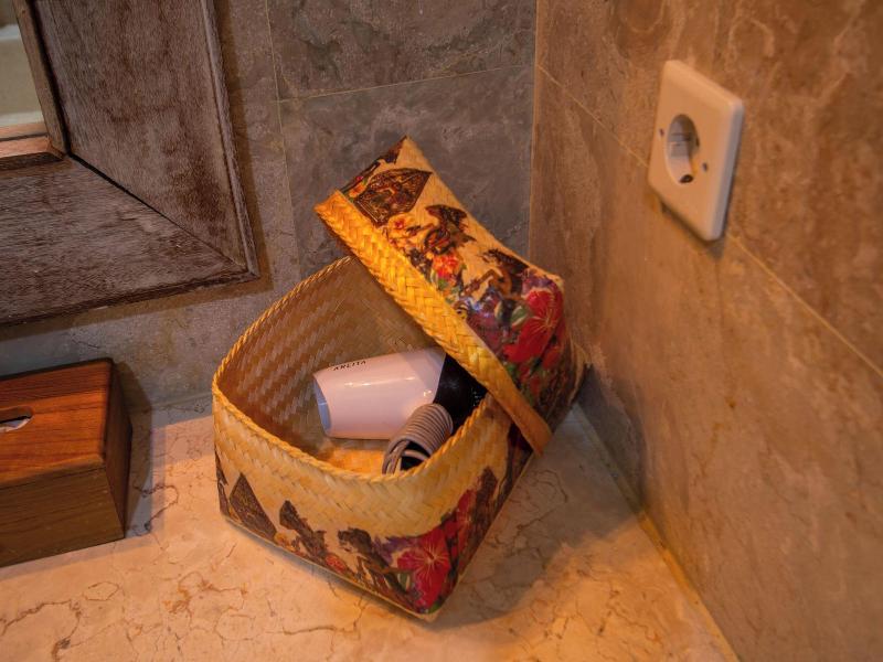 Alam Puri Art Museum And Villas image