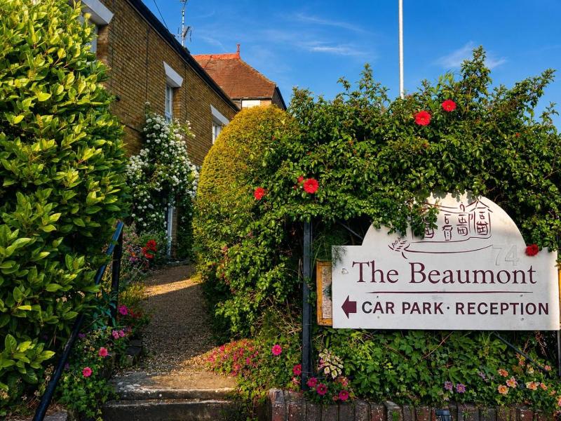 The Beaumont image