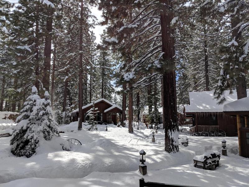 Black Bear Lodge image