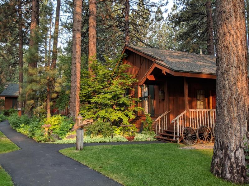 Black Bear Lodge image
