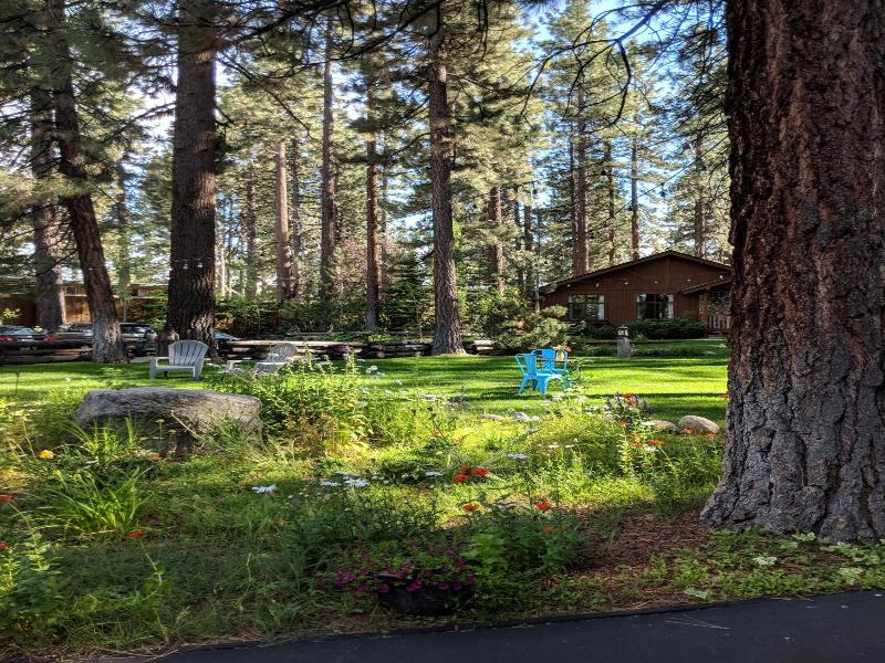 Black Bear Lodge image