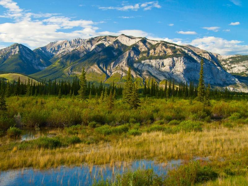 Overlander Mountain Lodge image