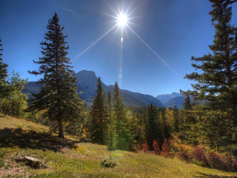 Overlander Mountain Lodge image