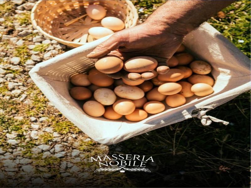 Masseria Nobile Relais image