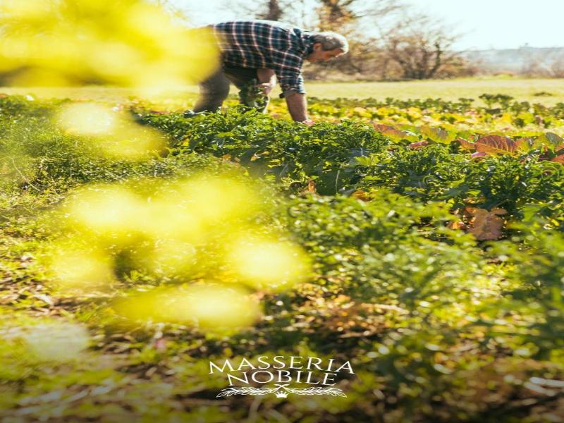 Masseria Nobile Relais image