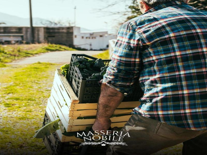 Masseria Nobile Relais image