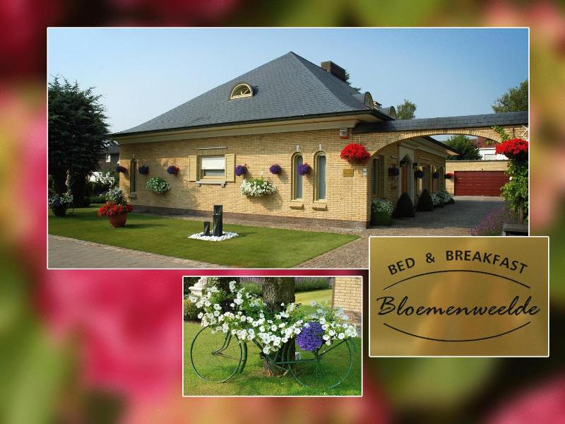 B&b Bloemenweelde image