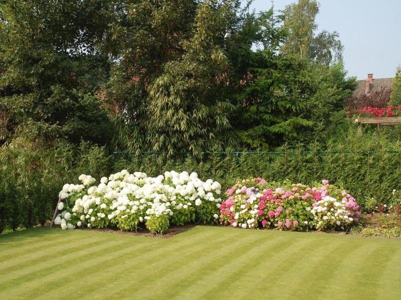 B&b Bloemenweelde image