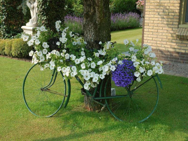 B&b Bloemenweelde image