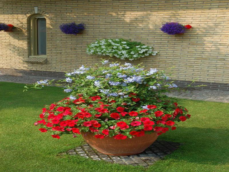 B&b Bloemenweelde image