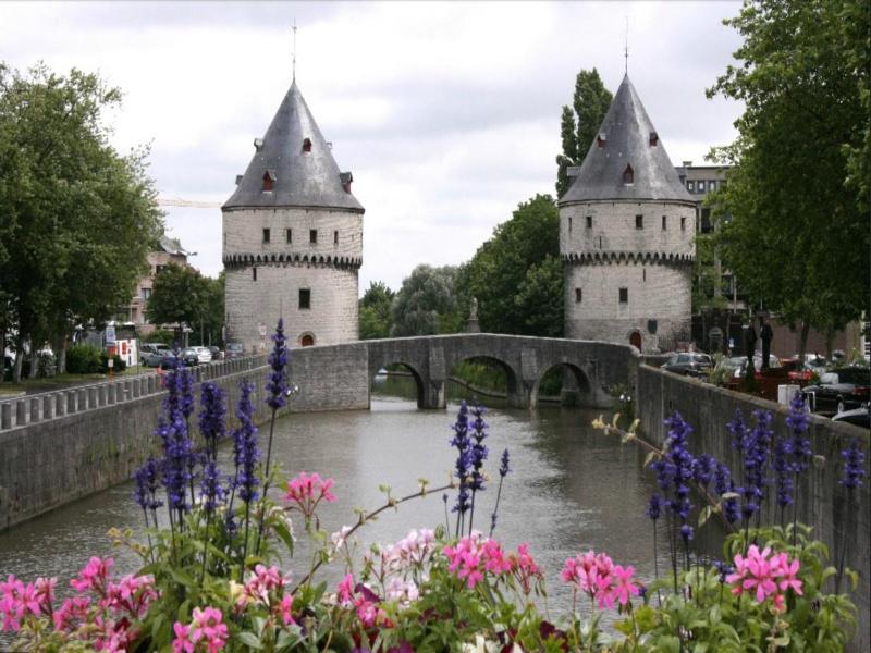 B&b Bloemenweelde image
