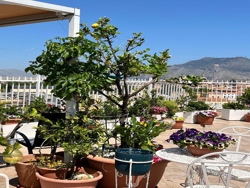 Lealbe Di Sicilia image