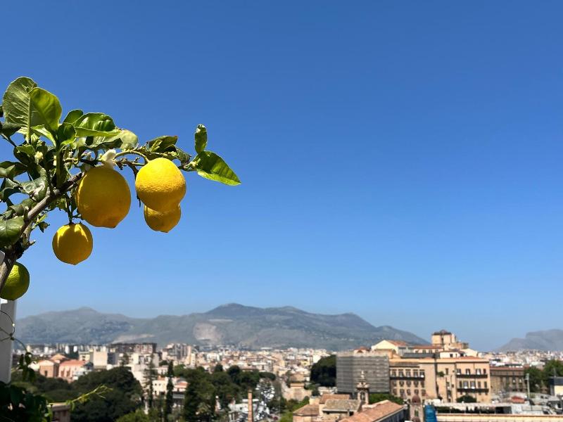 Lealbe Di Sicilia image