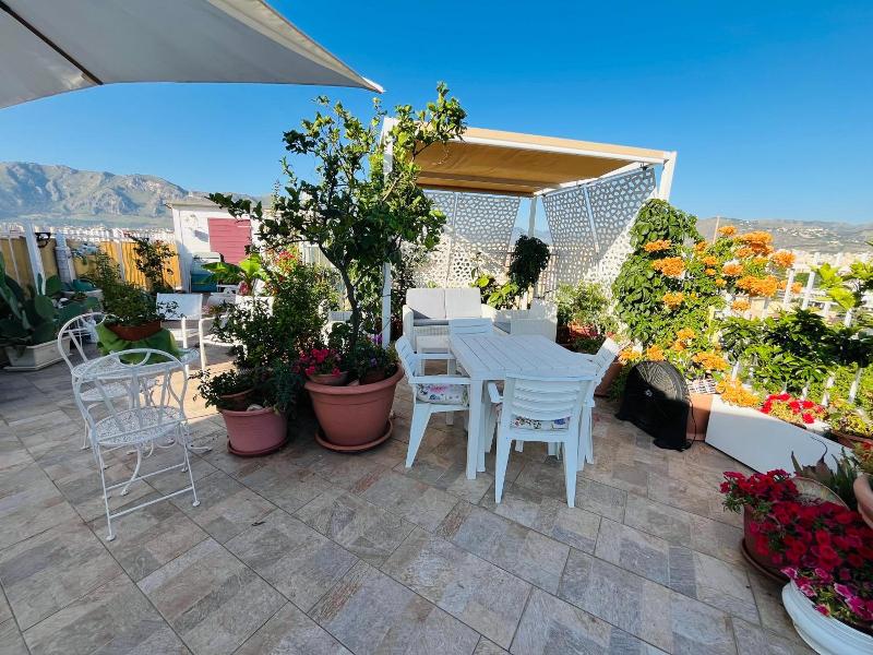 Lealbe Di Sicilia image
