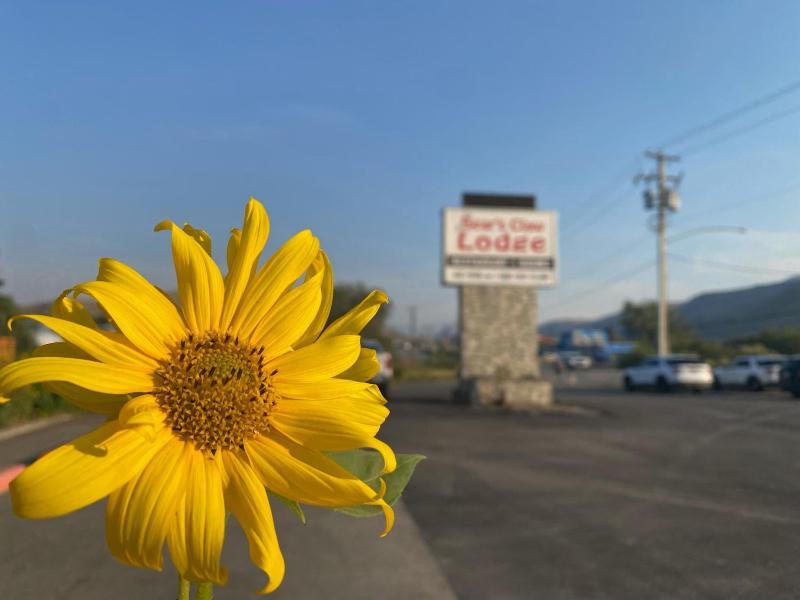 Bear's Claw Lodge