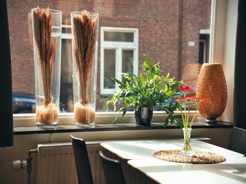 B&b De Hofnar Roermond image